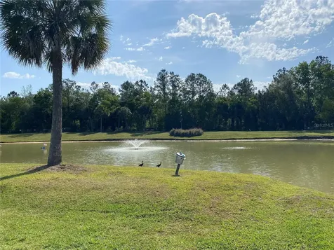 2914 NE 103rd Avenue Silver Springs FL 34488