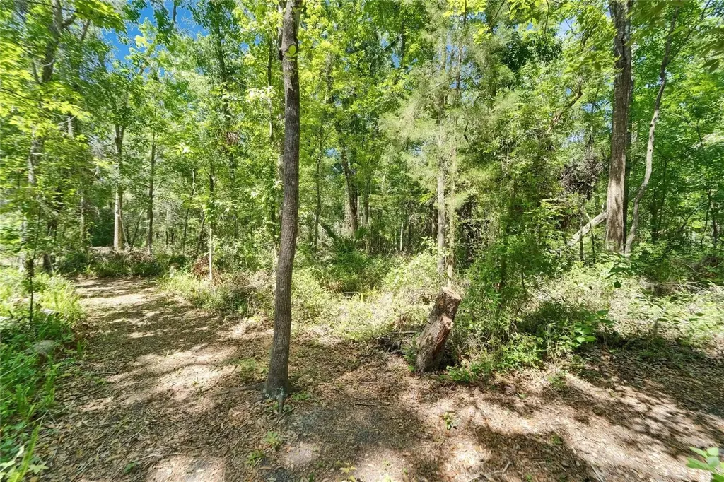 11120 Lu Wista Lane Brooksville FL 34601