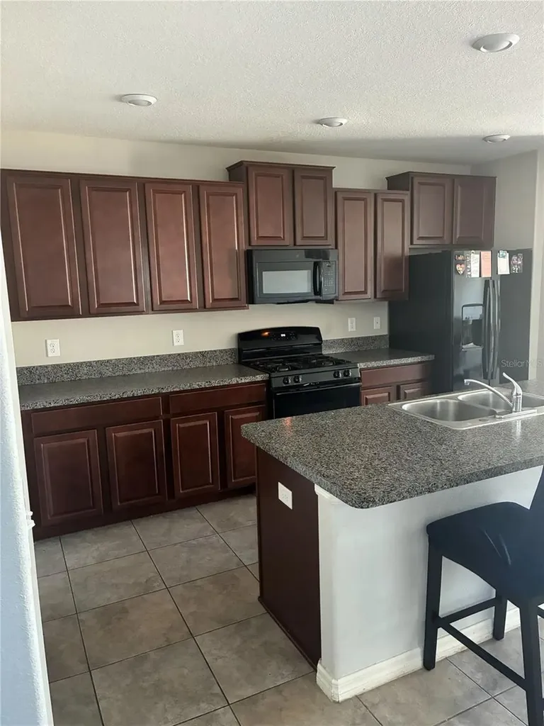 9616 Lemon Drop Loop Sun City Center FL 33573