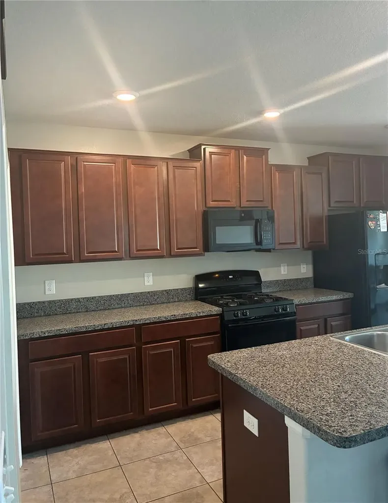 9616 Lemon Drop Loop Sun City Center FL 33573