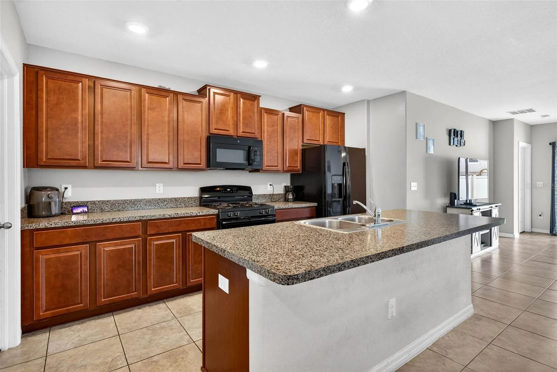 9616 Lemon Drop Loop Sun City Center FL 33573