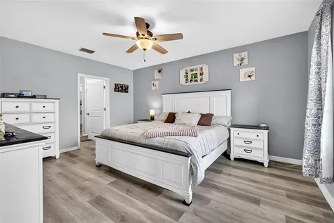 9616 Lemon Drop Loop Sun City Center FL 33573