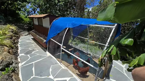 3 La Quinta Melones Beach Barrio Flamenco Culebra PR 00775
