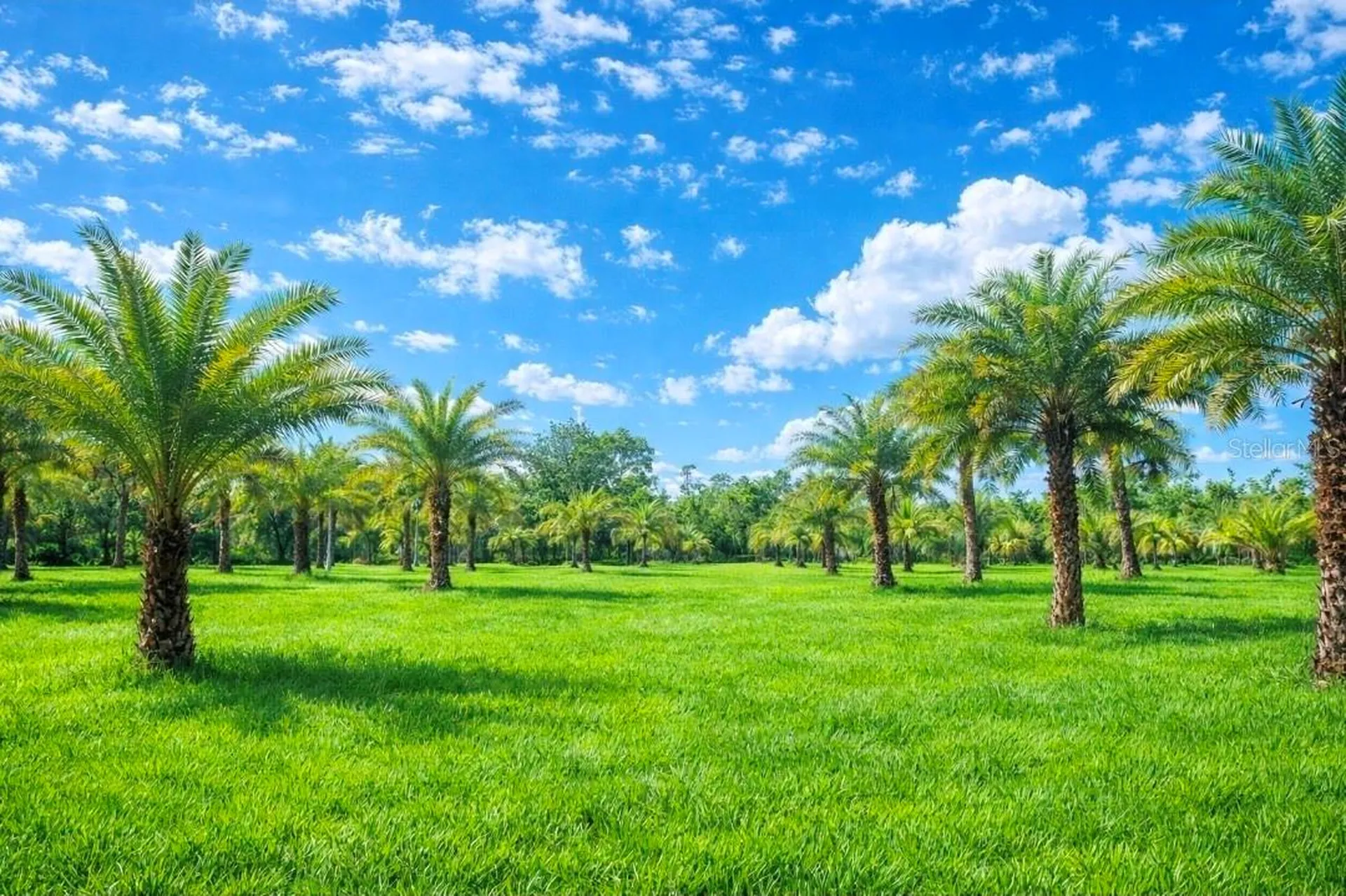 2625 Glencoe Farms Road New Smyrna Beach FL 32168