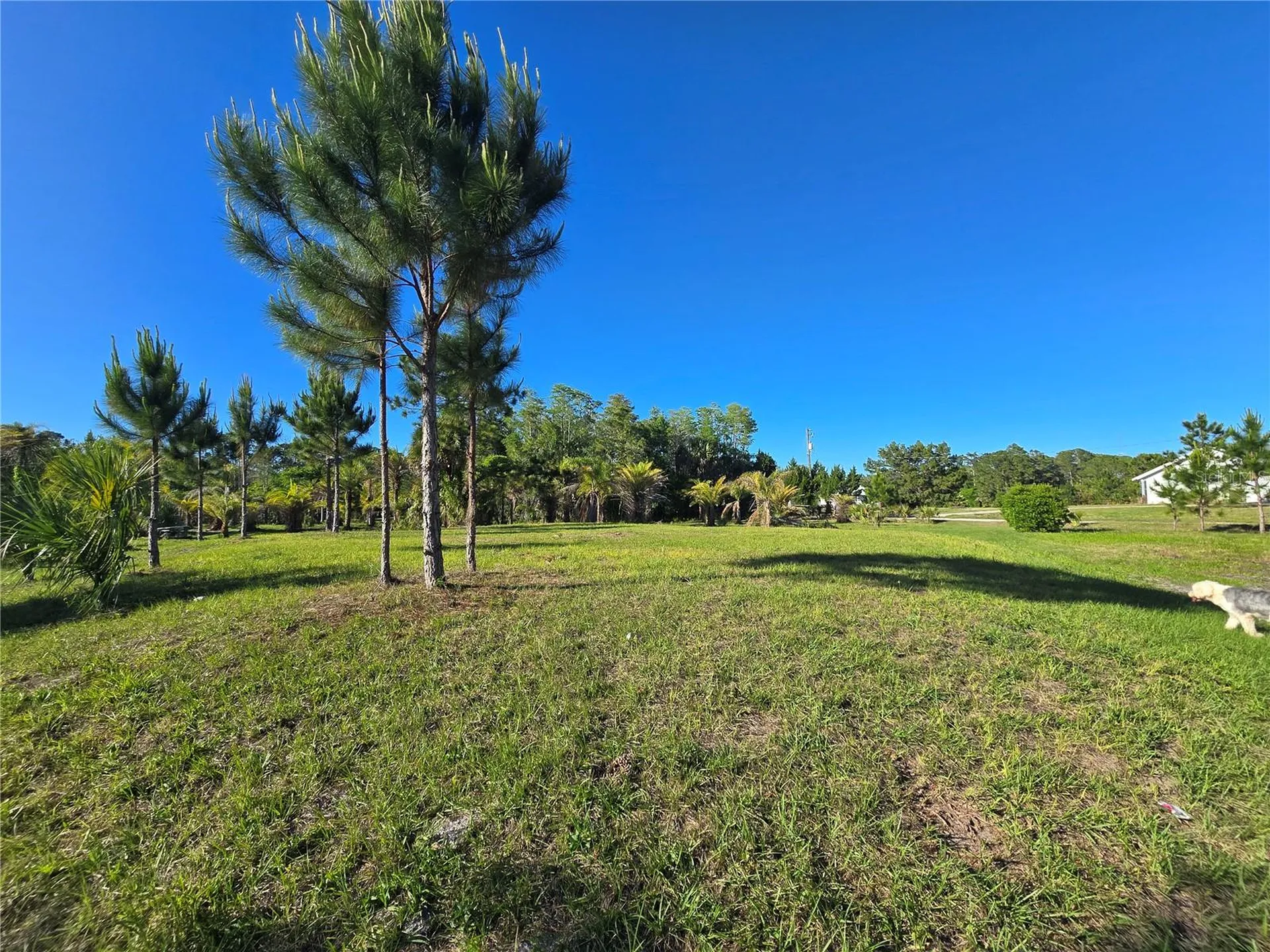 2625 Glencoe Farms Road New Smyrna Beach FL 32168