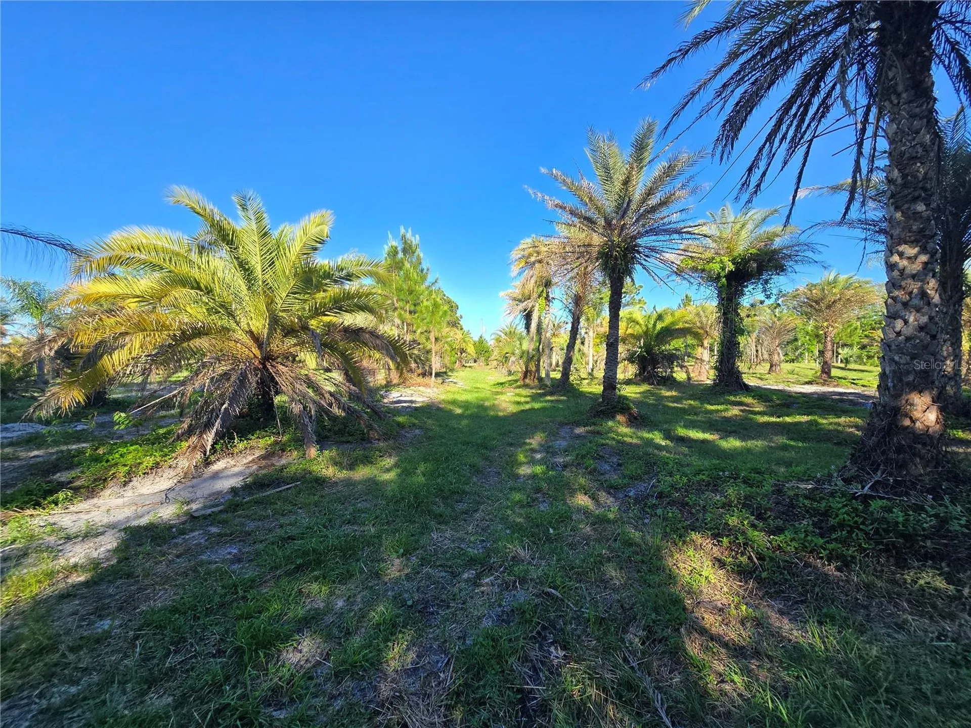2625 Glencoe Farms Road New Smyrna Beach FL 32168