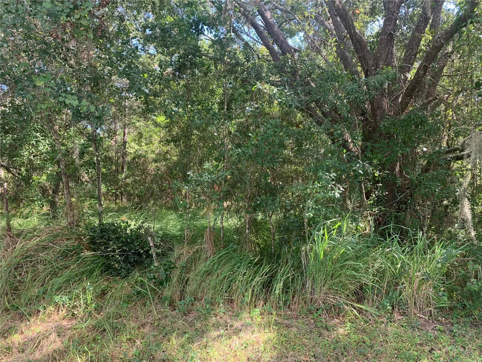 0 Haig Street Lake Wales FL 33898