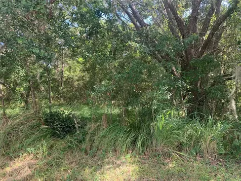 0 Haig Street Lake Wales FL 33898