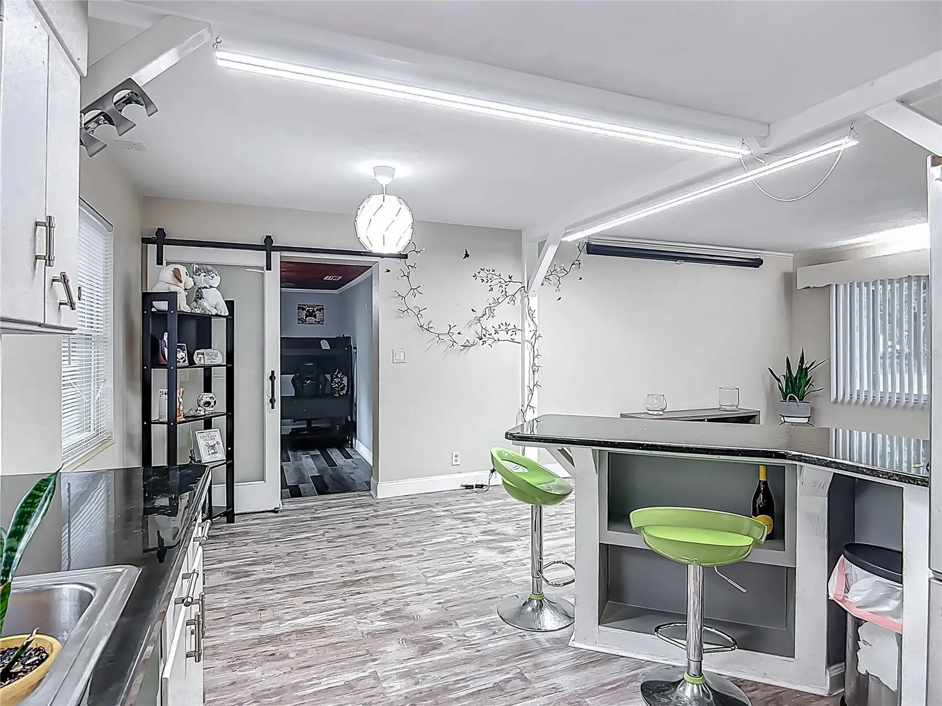 11763 SE Us Highway 301 Belleview FL 34420