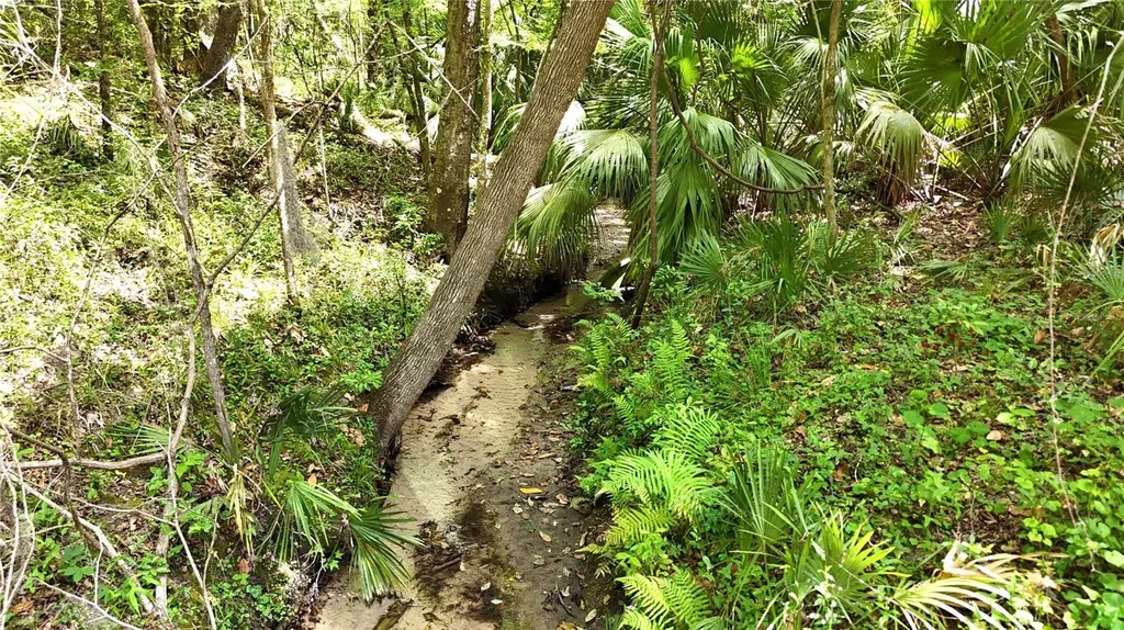 12100 NW Us Highway 441 Gainesville FL 32653