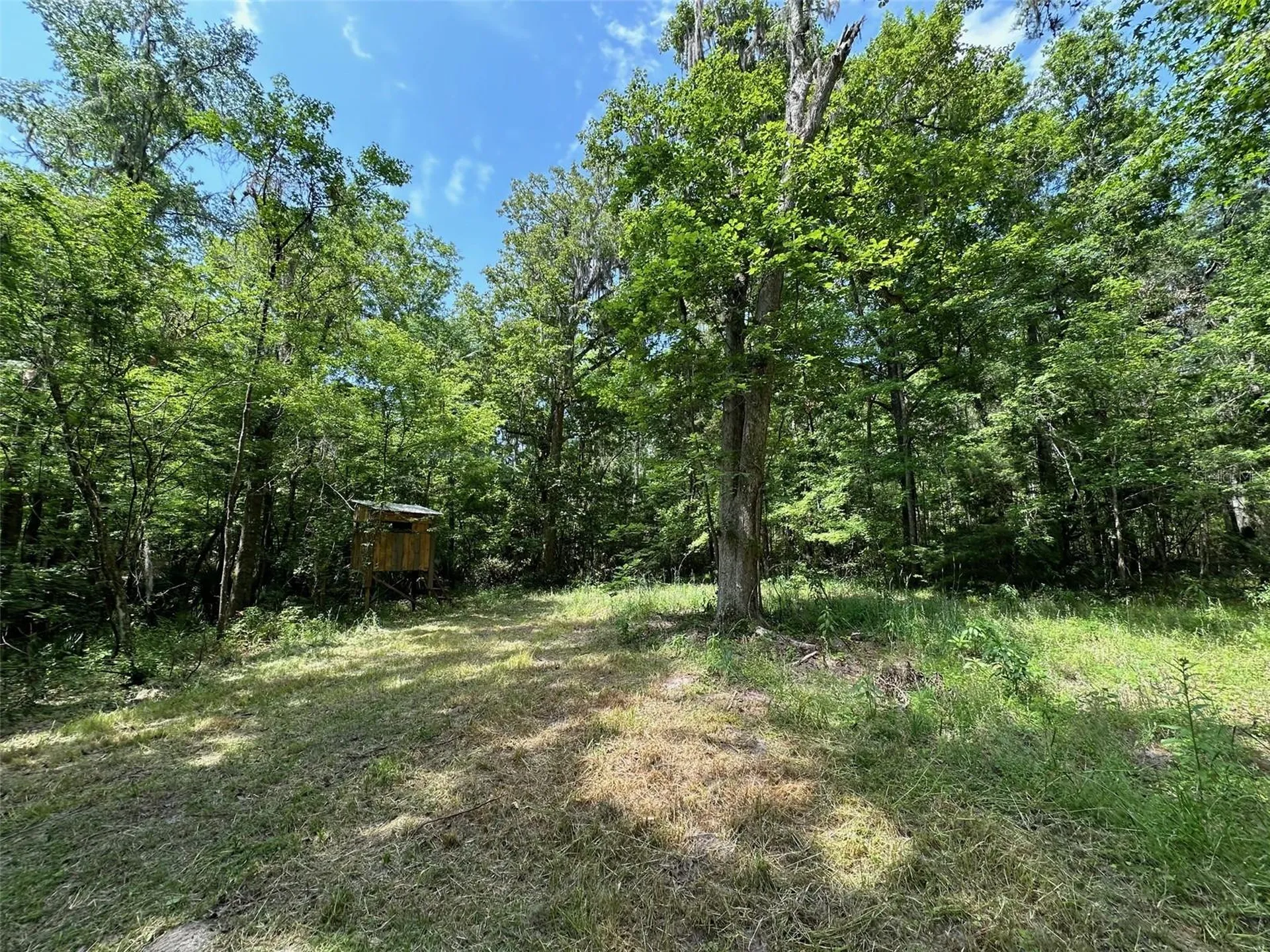 12100 NW Us Highway 441 Gainesville FL 32653