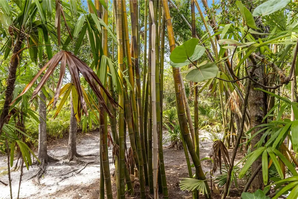 642 N Jefferson Avenue Sarasota FL 34237