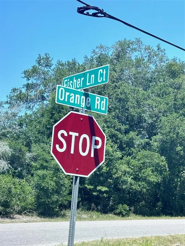 Tbd Orange Road Ocklawaha FL 32179