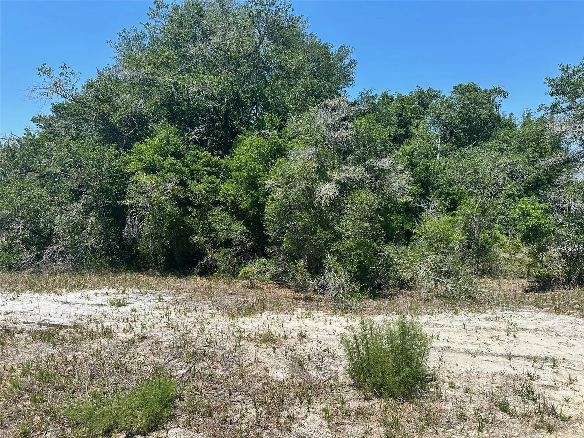 Tbd Orange Road Ocklawaha FL 32179