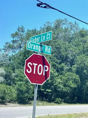 Tbd Orange Road Ocklawaha FL 32179