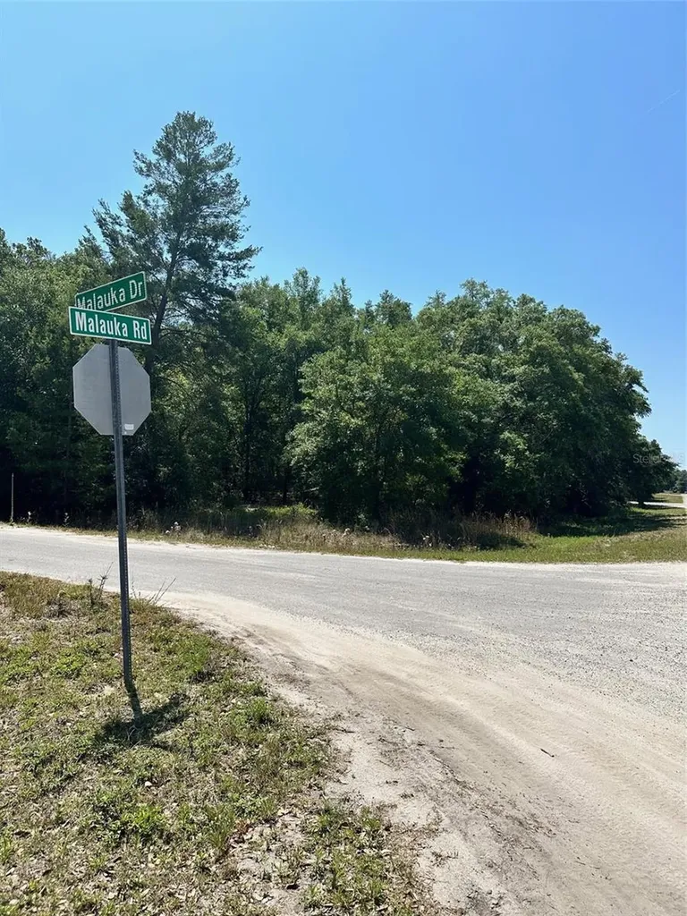 Tbd Malauka Road Ocklawaha FL 32179