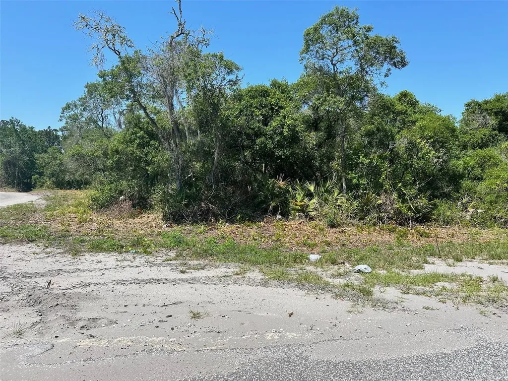 Tbd Fisher Way Ocklawaha FL 32179