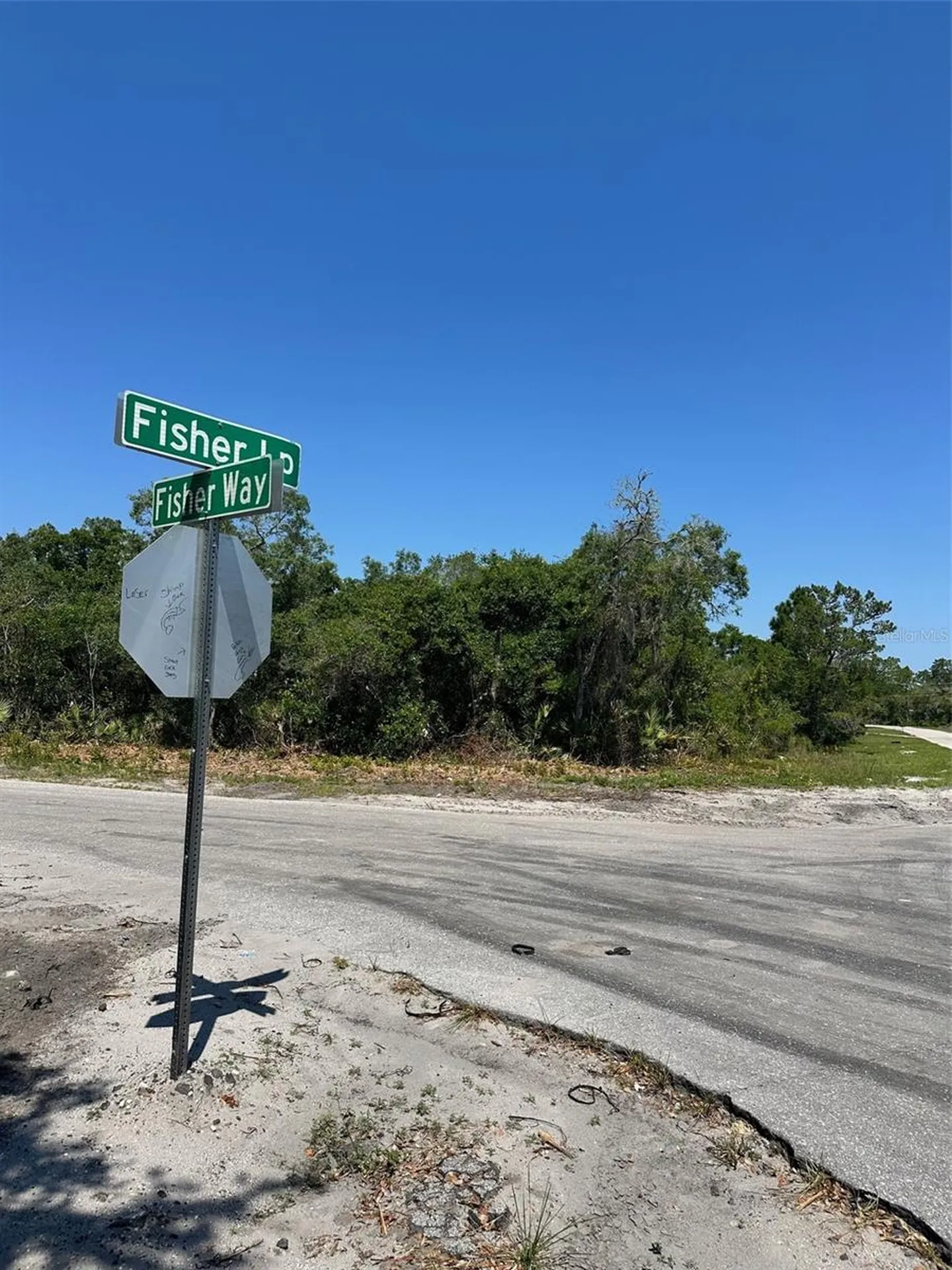 Tbd Fisher Way Ocklawaha FL 32179