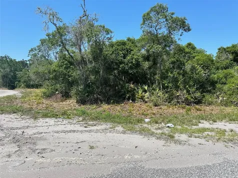 Tbd Fisher Way Ocklawaha FL 32179