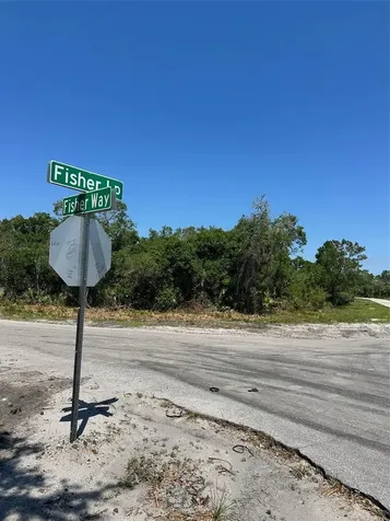 Tbd Fisher Way Ocklawaha FL 32179