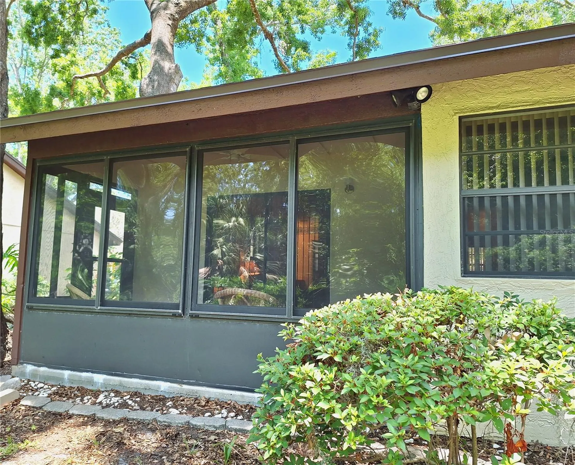 2910 Star Apple Court Palm Harbor FL 34684