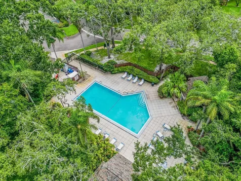 2910 Star Apple Court Palm Harbor FL 34684