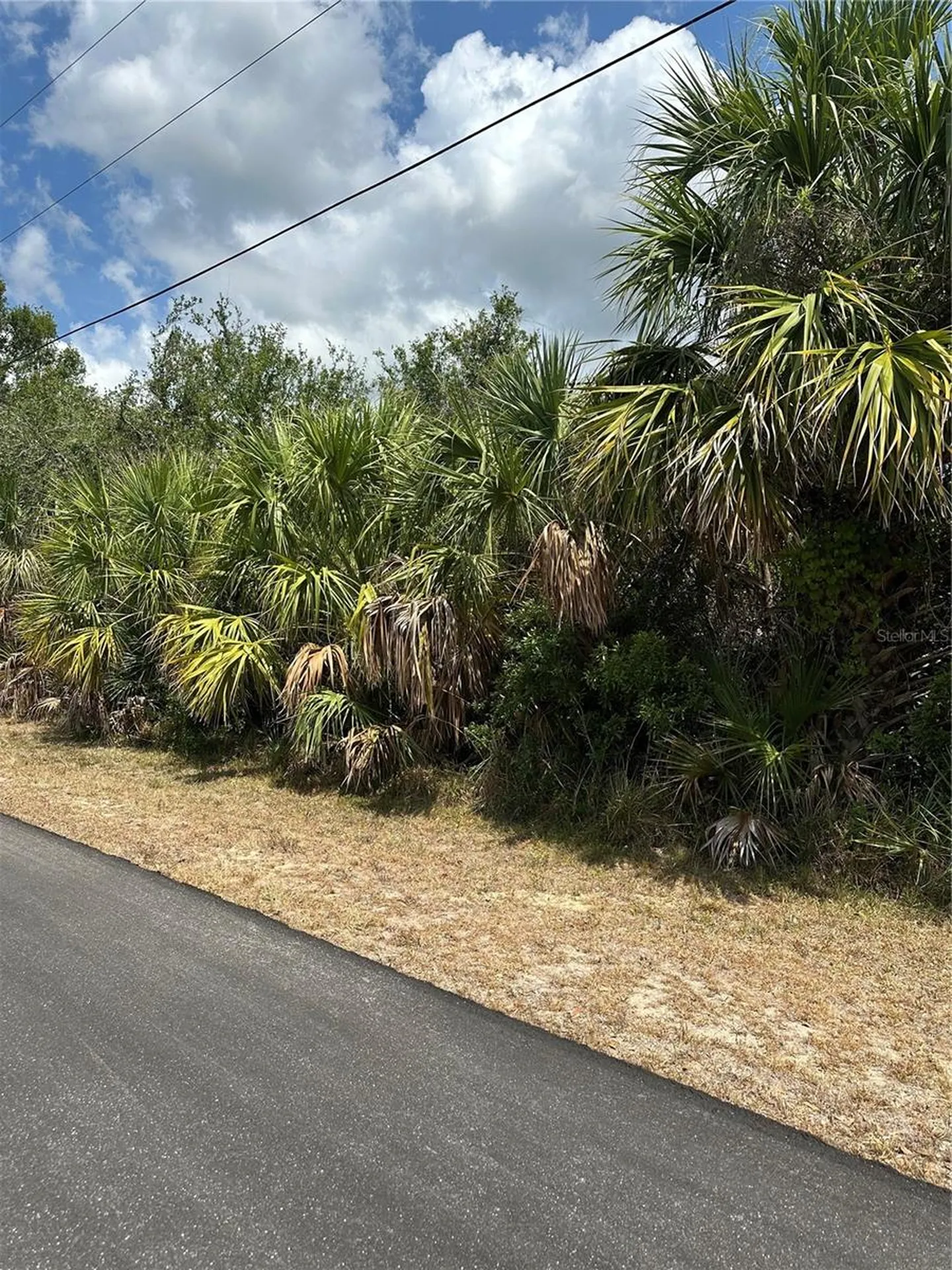 12006 Grouse Avenue Port Charlotte FL 33981
