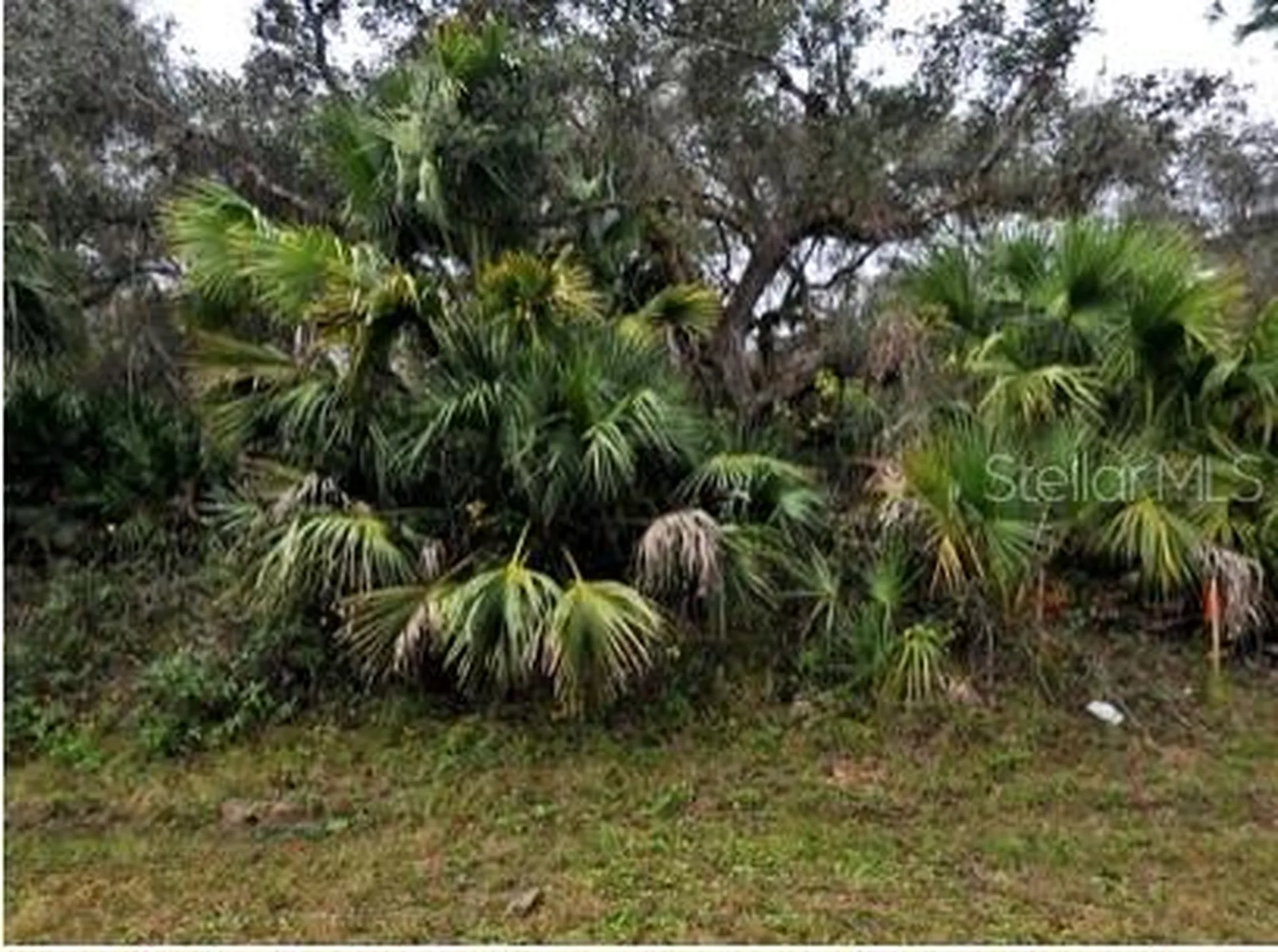 Babroff Terrace North Port FL 34291