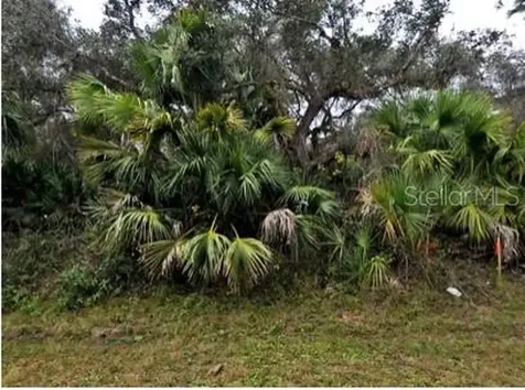 Babroff Terrace North Port FL 34291