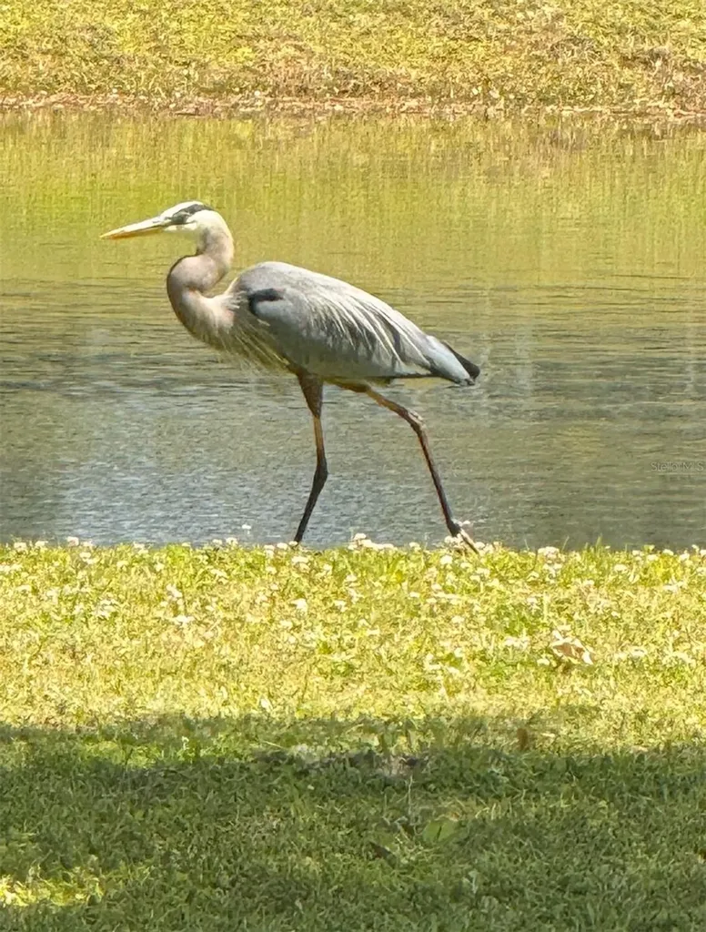 8904 Carrolwood Drive Lakeland FL 33810