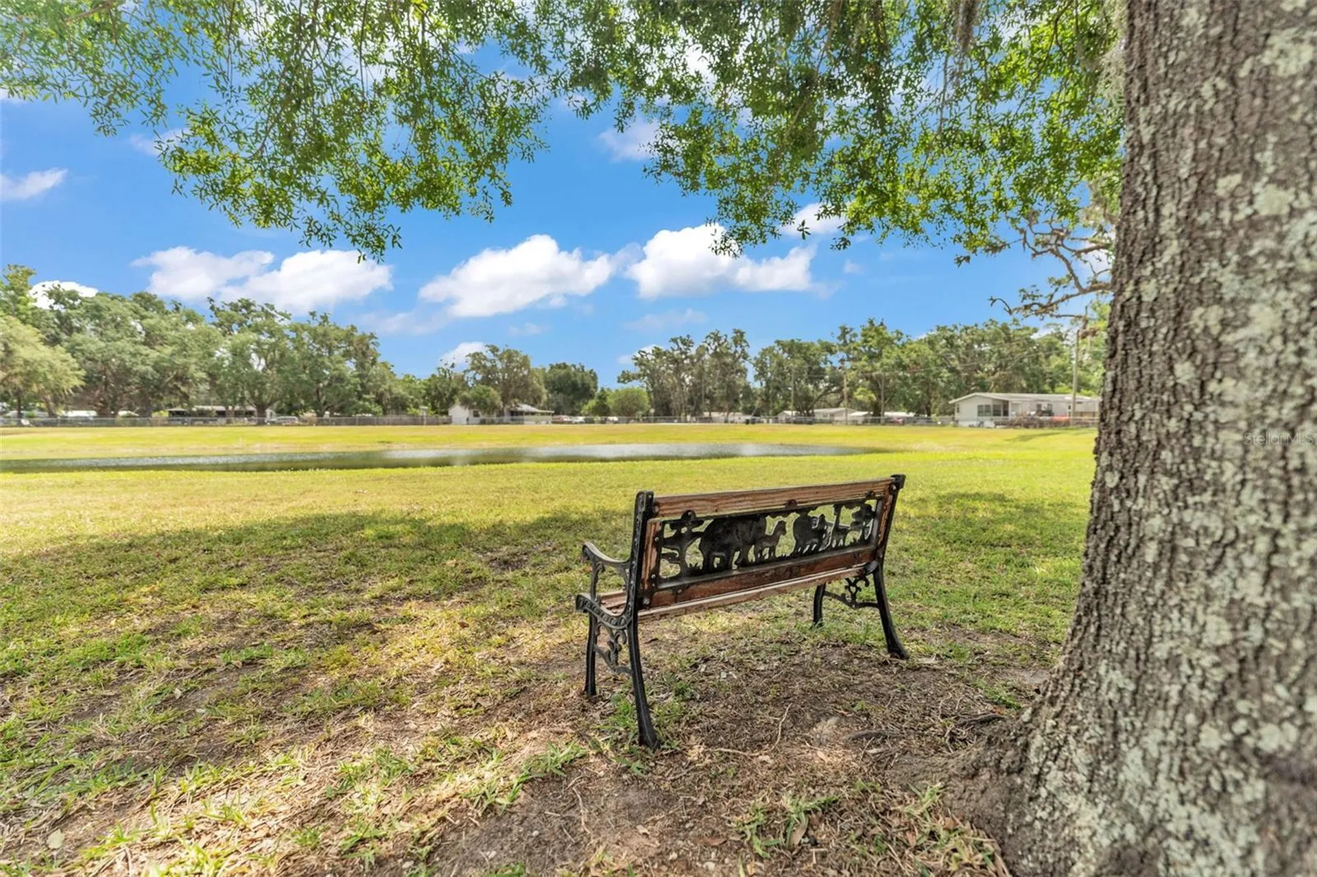 8904 Carrolwood Drive Lakeland FL 33810