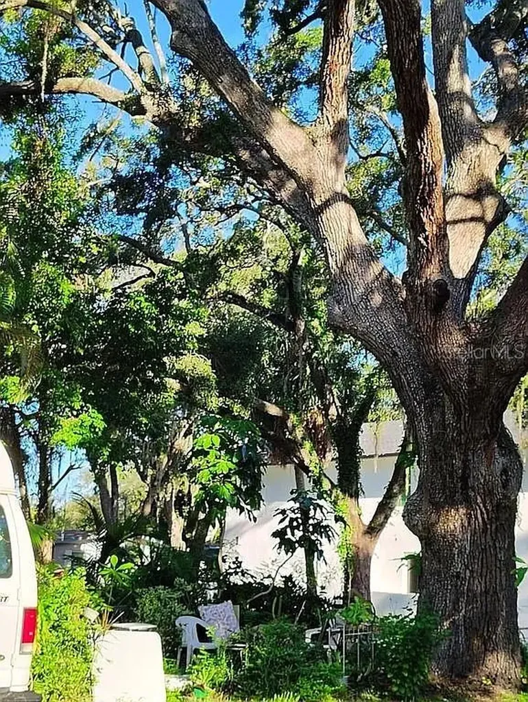 820 Bayou Avenue Tarpon Springs FL 34689