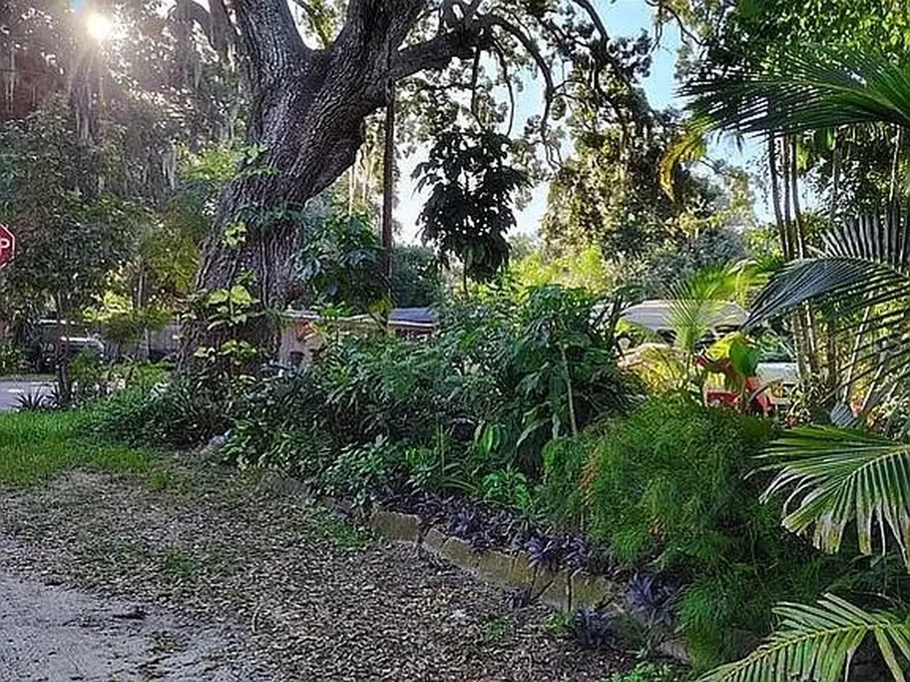 820 Bayou Avenue Tarpon Springs FL 34689