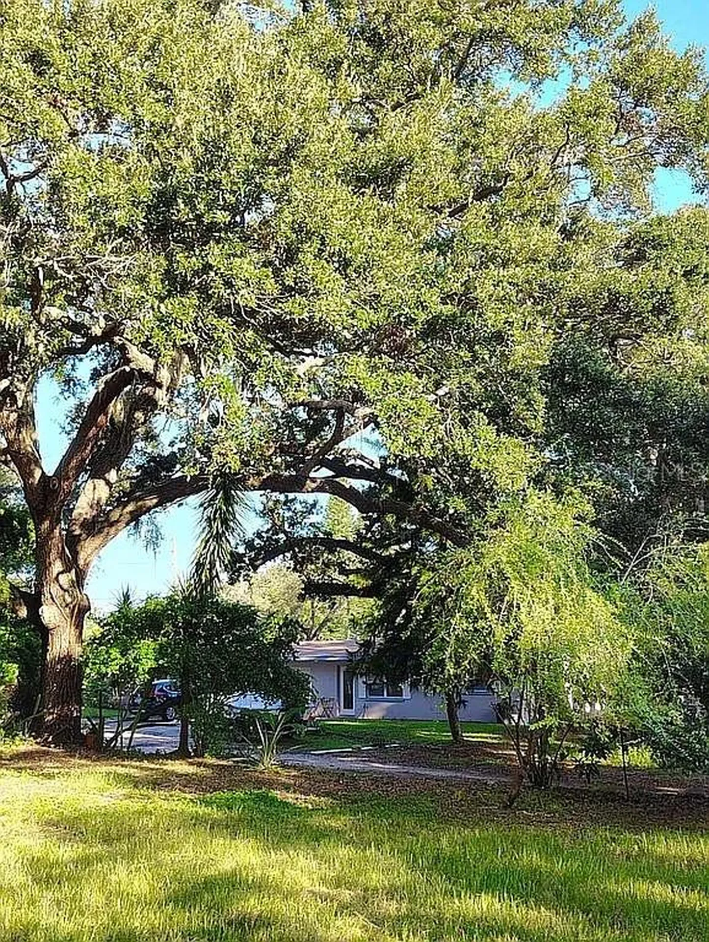 820 Bayou Avenue Tarpon Springs FL 34689