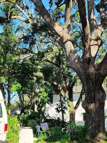 820 Bayou Avenue Tarpon Springs FL 34689