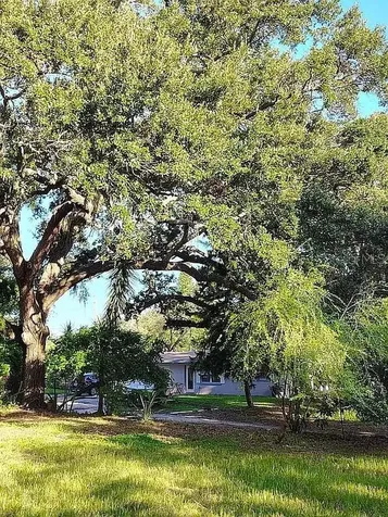 820 Bayou Avenue Tarpon Springs FL 34689