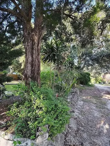 820 Bayou Avenue Tarpon Springs FL 34689
