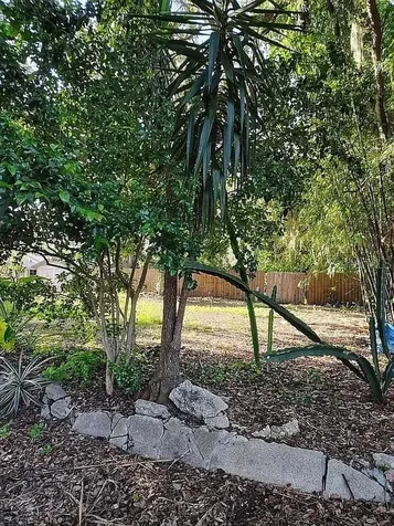 820 Bayou Avenue Tarpon Springs FL 34689