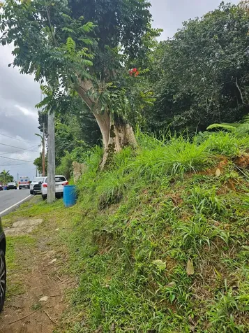 Bo Mulas Parc B, Carr 179 Km.hm 20.9 Aguas Buenas PR 00703