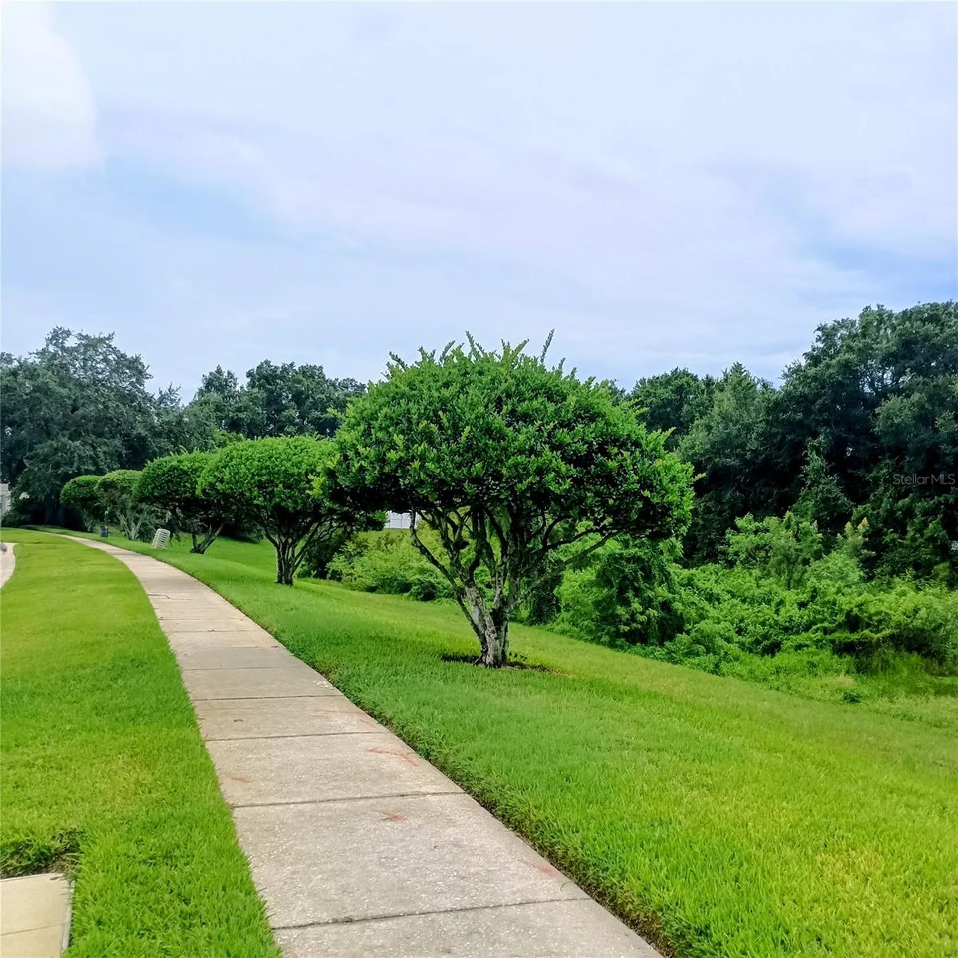 1240 Falconcrest Boulevard Apopka FL 32712