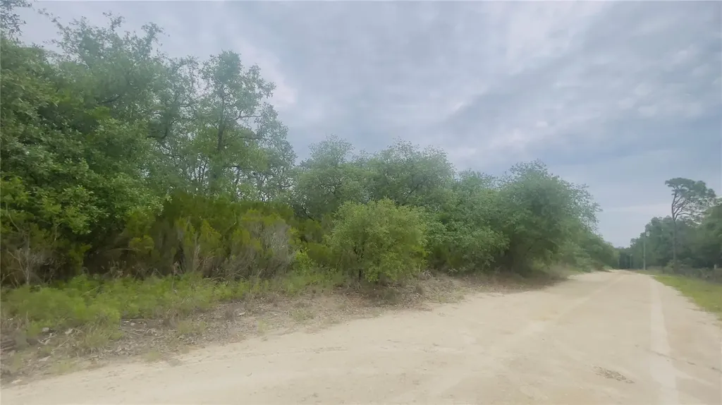 Lot 115 NE 87th Place Bronson FL 32621