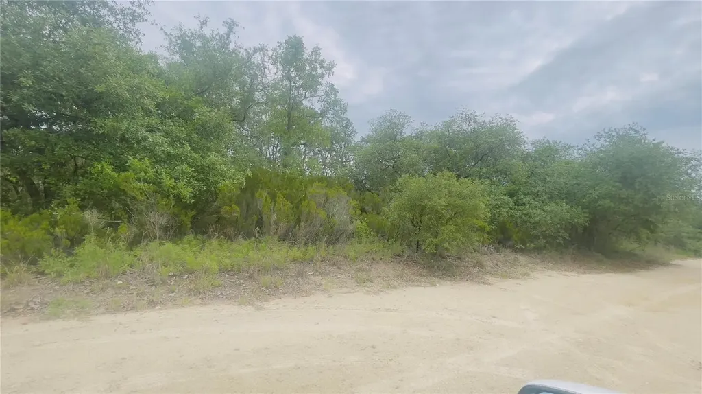 Lot 115 NE 87th Place Bronson FL 32621
