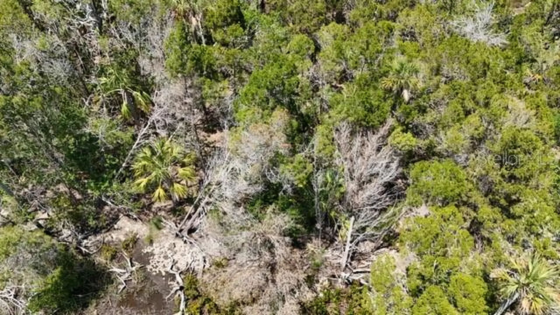 13495 Sportsman Island Homosassa FL 34448