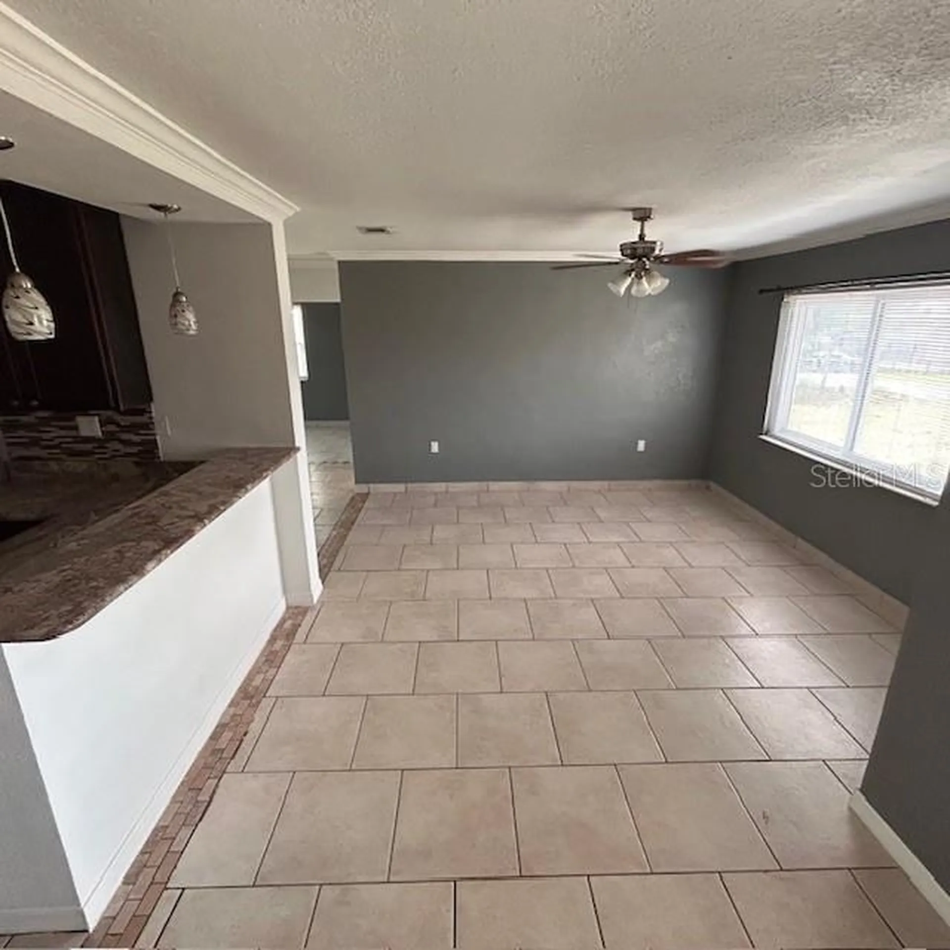 37913 Wicklow Avenue Zephyrhills FL 33541
