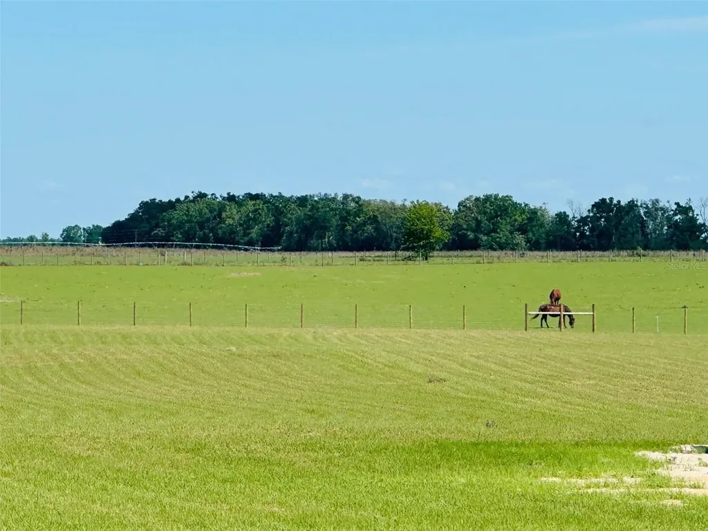 15882 Sr 51 Live Oak FL 32060