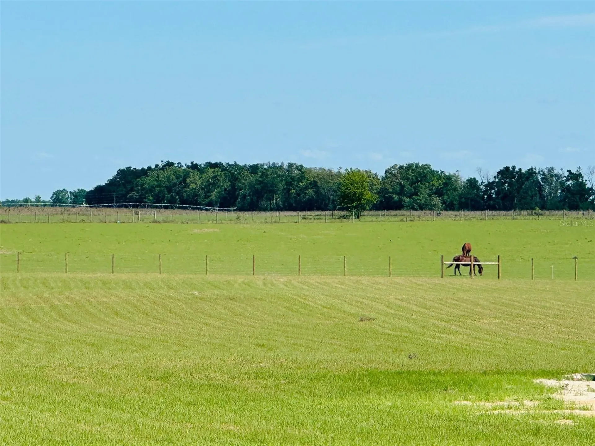 15882 Sr 51 Live Oak FL 32060