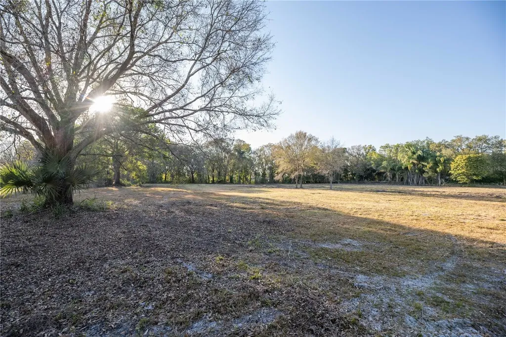 1206 Fisher Lane Brandon FL 33510
