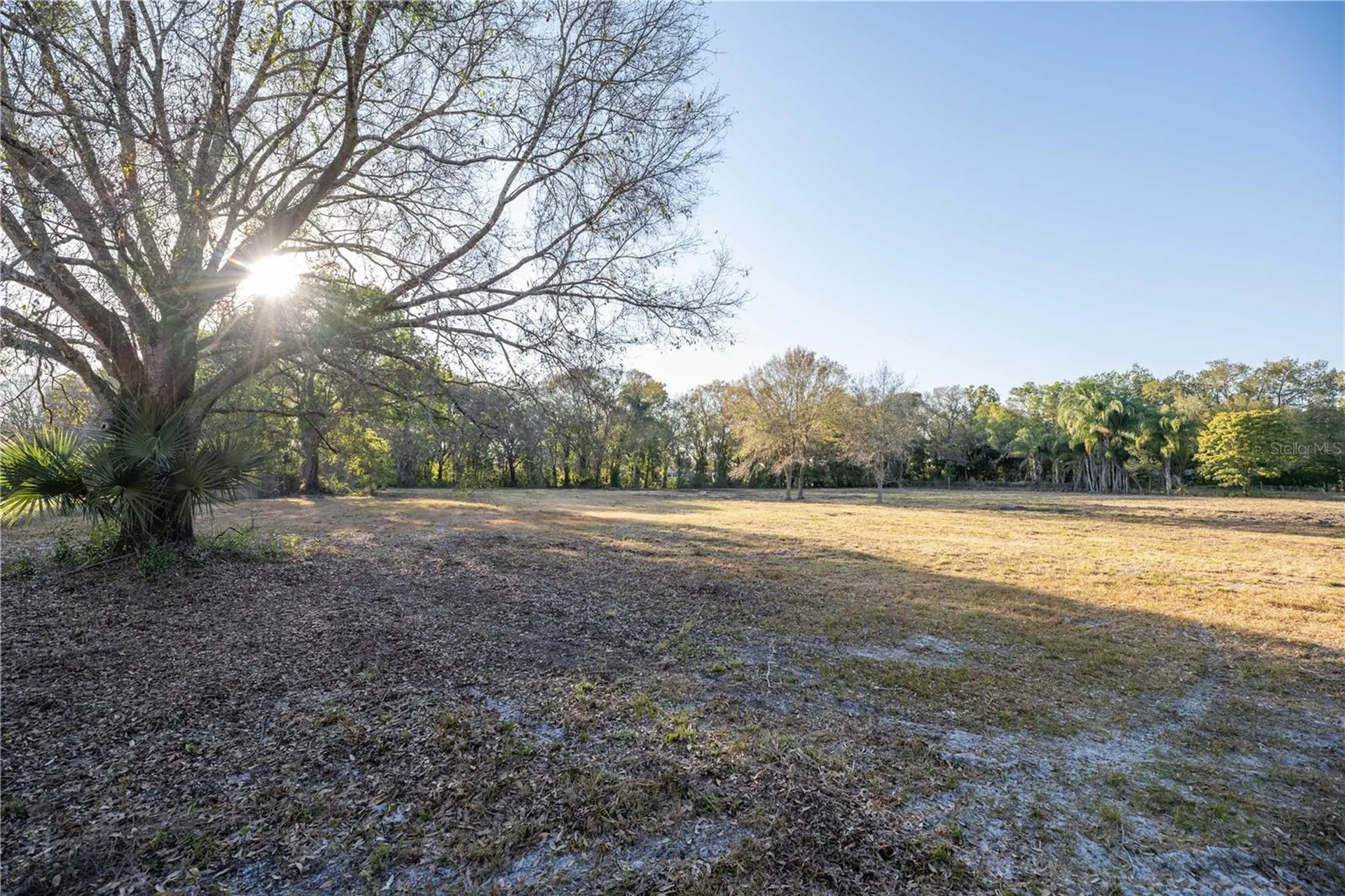 1206 Fisher Lane Brandon FL 33510
