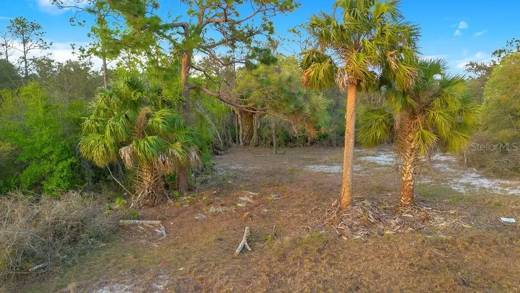 1411 Sarasota Court Poinciana FL 34759