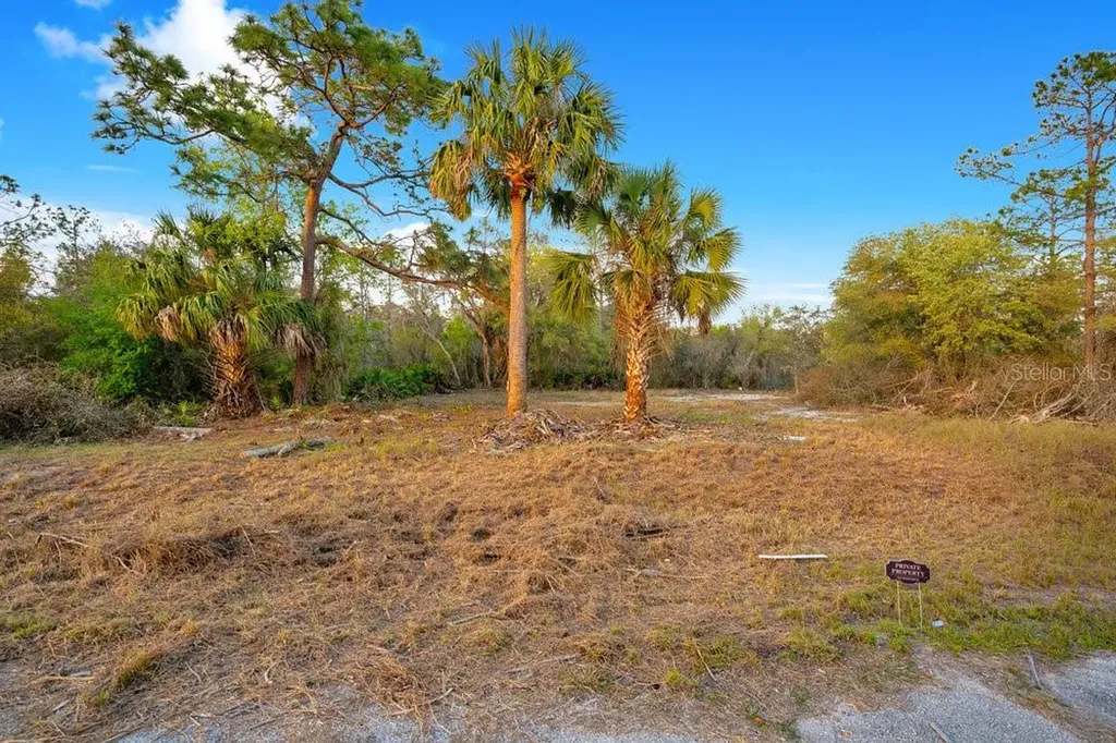1411 Sarasota Court Poinciana FL 34759